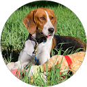 Linda Turri Linda Turri